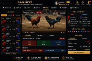 Sảnh đá gà Luck8